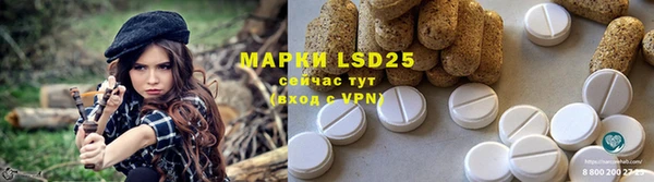 ECSTASY Бородино