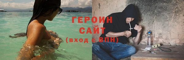 ГАЛЛЮЦИНОГЕННЫЕ ГРИБЫ Дмитриев