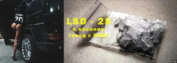 ECSTASY Бородино