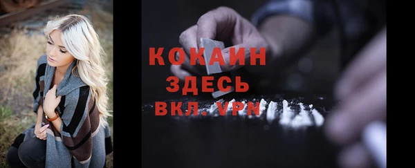 сатива Бугульма