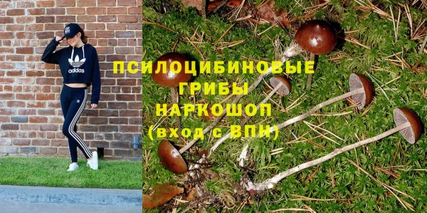 прущие крисы Беломорск