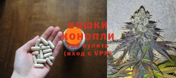 ECSTASY Бородино