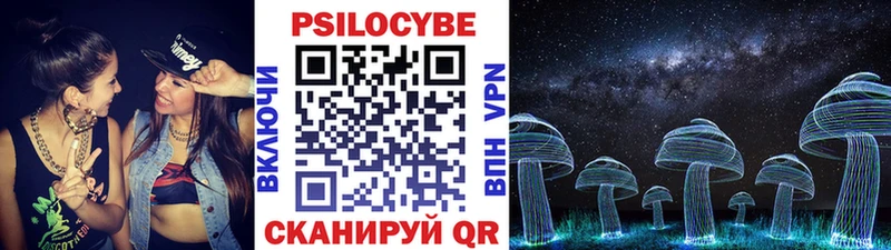 наркотики  Городец  Псилоцибиновые грибы Psilocybe 